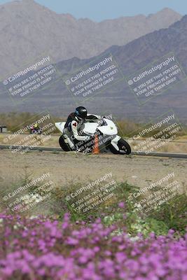 media/Feb-04-2023-SoCal Trackdays (Sat) [[8a776bf2c3]]/Turn 15 Inside Blooming (1050am)/